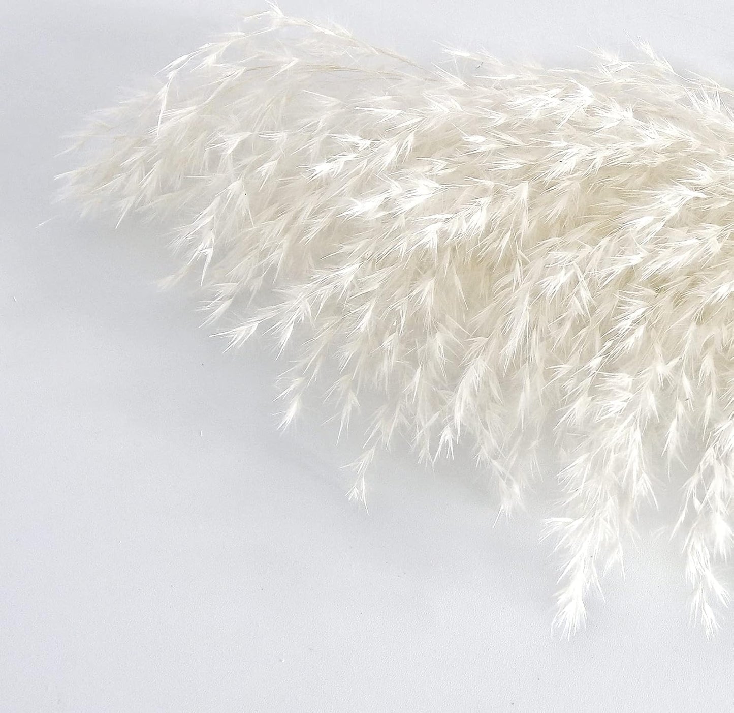 White Pampas Grass for Home Decor - Elegant Boho Decor - Premium Quality Pampas Grass Stems - Perfect for House, Nursery, Western, Wedding, Table, and Bohemian Decor (20PCS)