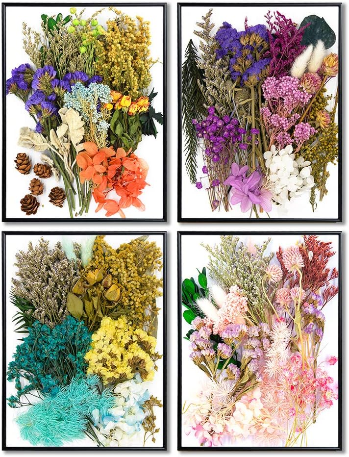 Vignee Real Dried Pressed Leaf Flowers-Multiple Colorful Pressed Flowers Daisies for Craft Resin Jewelry Making Art Craft DIY(Violet+Green)