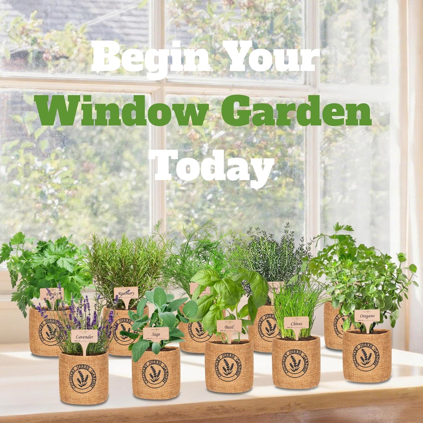 10 Indoor Herb Garden Kit- Burlap Pots, Organic Seeds, Herb Garden Planter Indoor Kit, Easy Window & Kitchen Herbs Growing Kit, Cilantro, Basil, Sage, Oregano, Parsley, Dill, Chives etc.