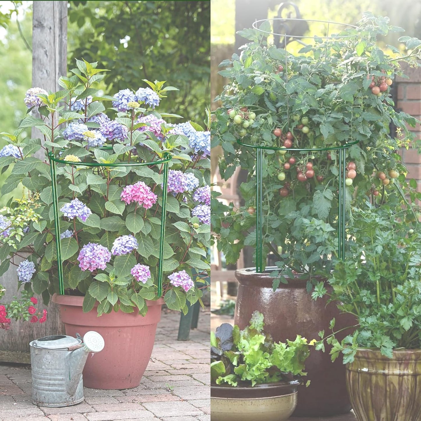 12 Pack 30 inch Plant Support Stakes, Heavy-Duty Half Round Peony Support, Garden Plant Stakes Cage for Outdoor Plants, Peony, Tomato, Hydrangea, (15ln Support +15ln Stainless Extension Tubes)