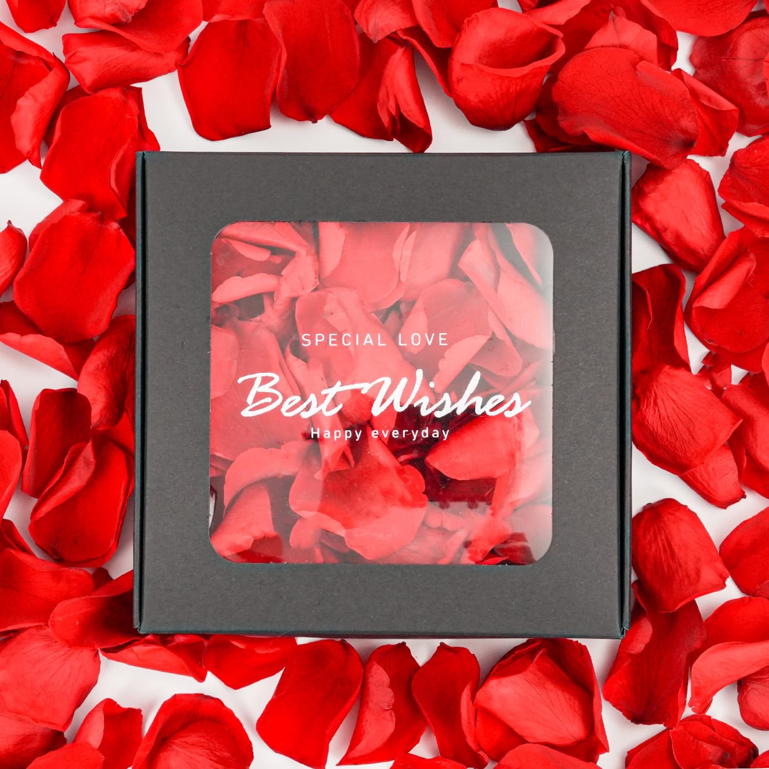 Dried & Preserved Flora