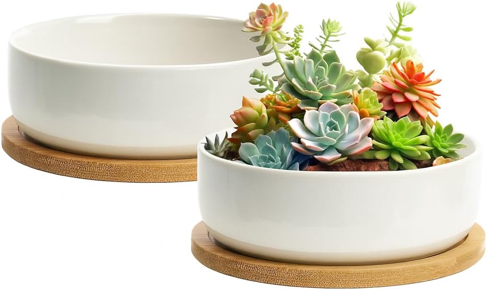 ZOUTOG Plant Pot 6 Inch,Ceramic Succulent Pots for Flower with Drainage and Tray,Succulent Planters for Indoor Plants White Round with Home,Office,Pack of 2
