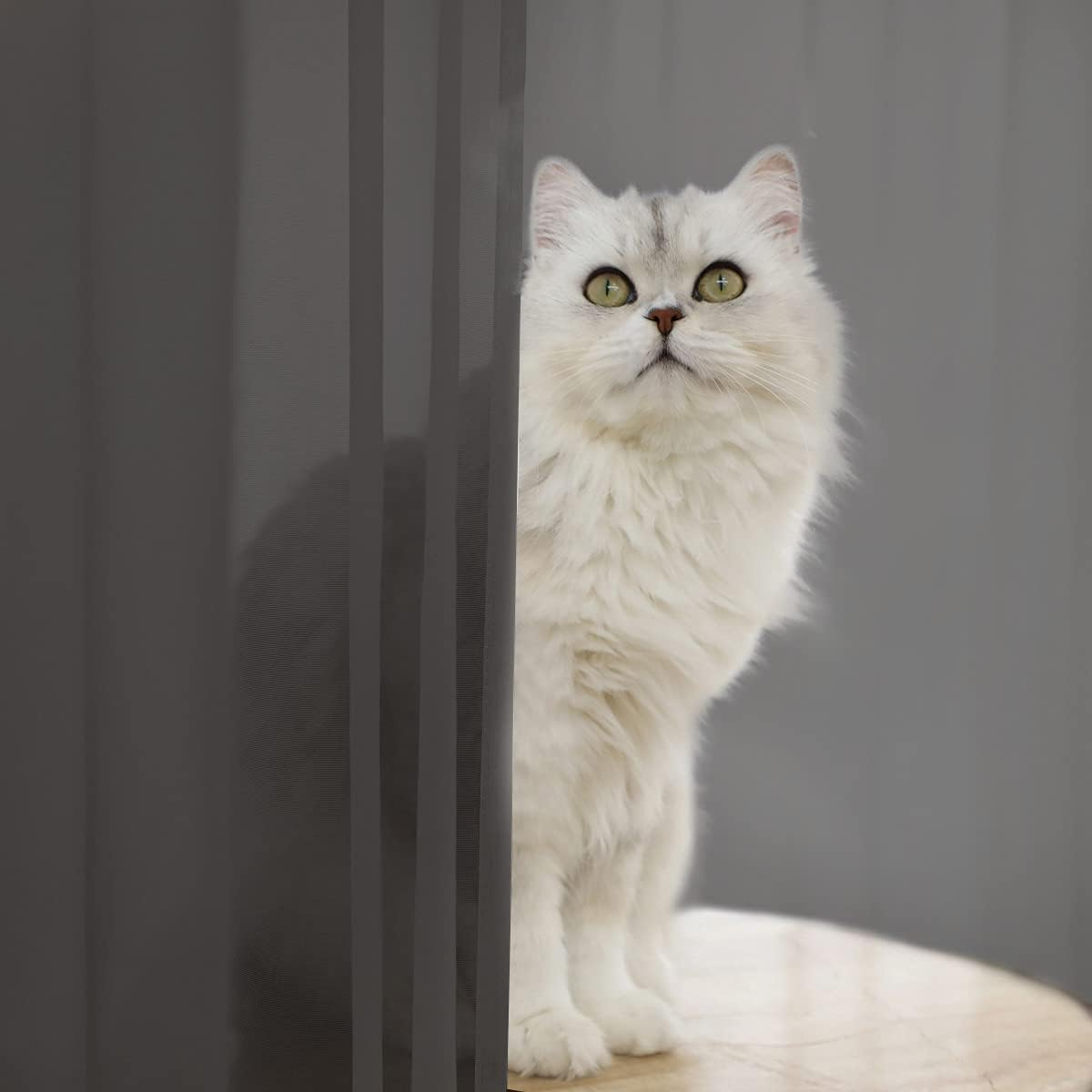 Window Dark Grey Sheer Curtains 60 Inches Width 130 Inches Long 2 Panels Sheer Curtain Clear Curtains Basic Rod Pocket Panel for Home Living Room Bedroom Kids Room Yard Patio Parlor Sliding