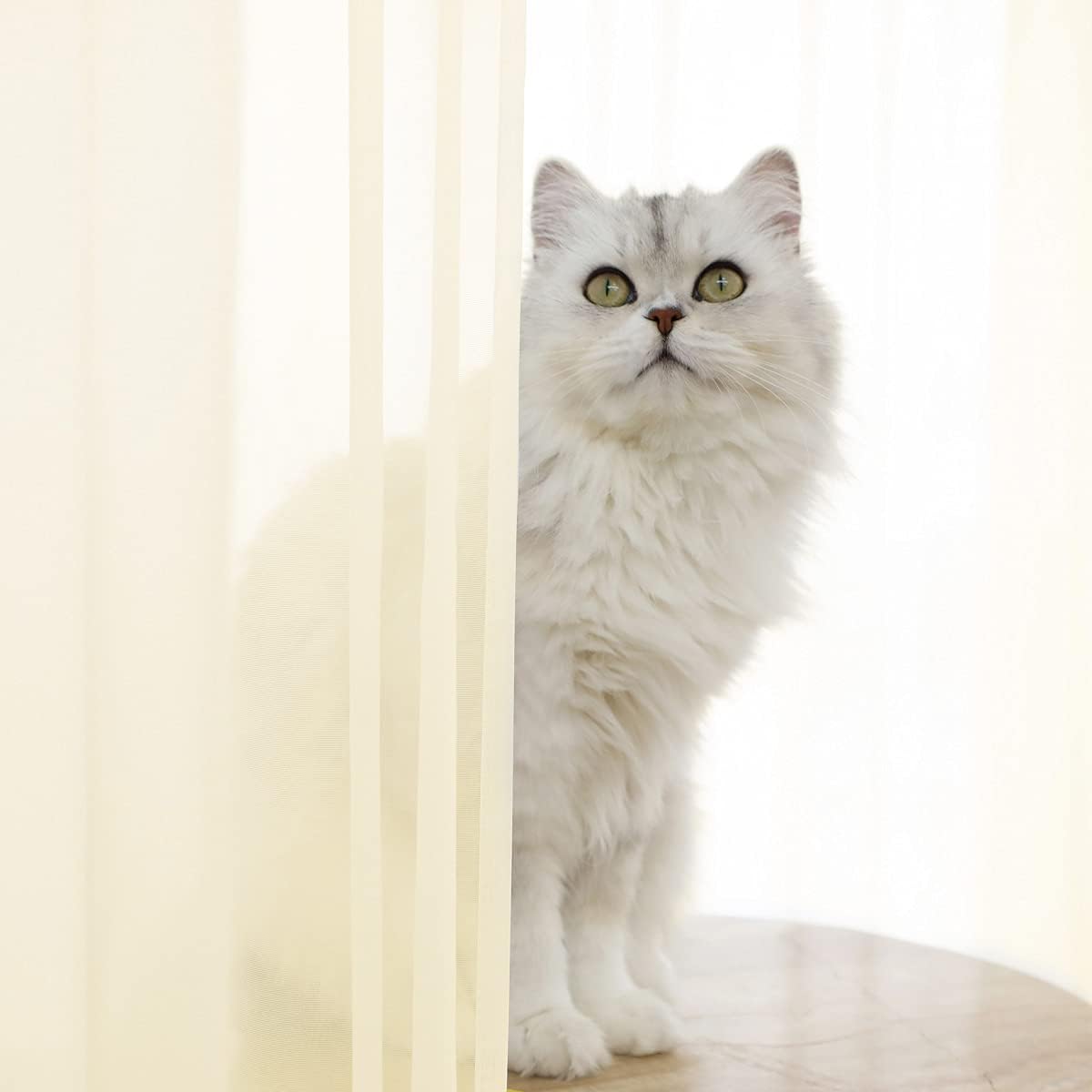 Window Light Yellow Sheer Curtains 90 Inches Long 2 Panels Sheer Curtain Basic Rod Pocket Panel for Bedroom Children Living Room Yard Kitchen (Light Yellow, 52" W x 90" L | 2 pcs)