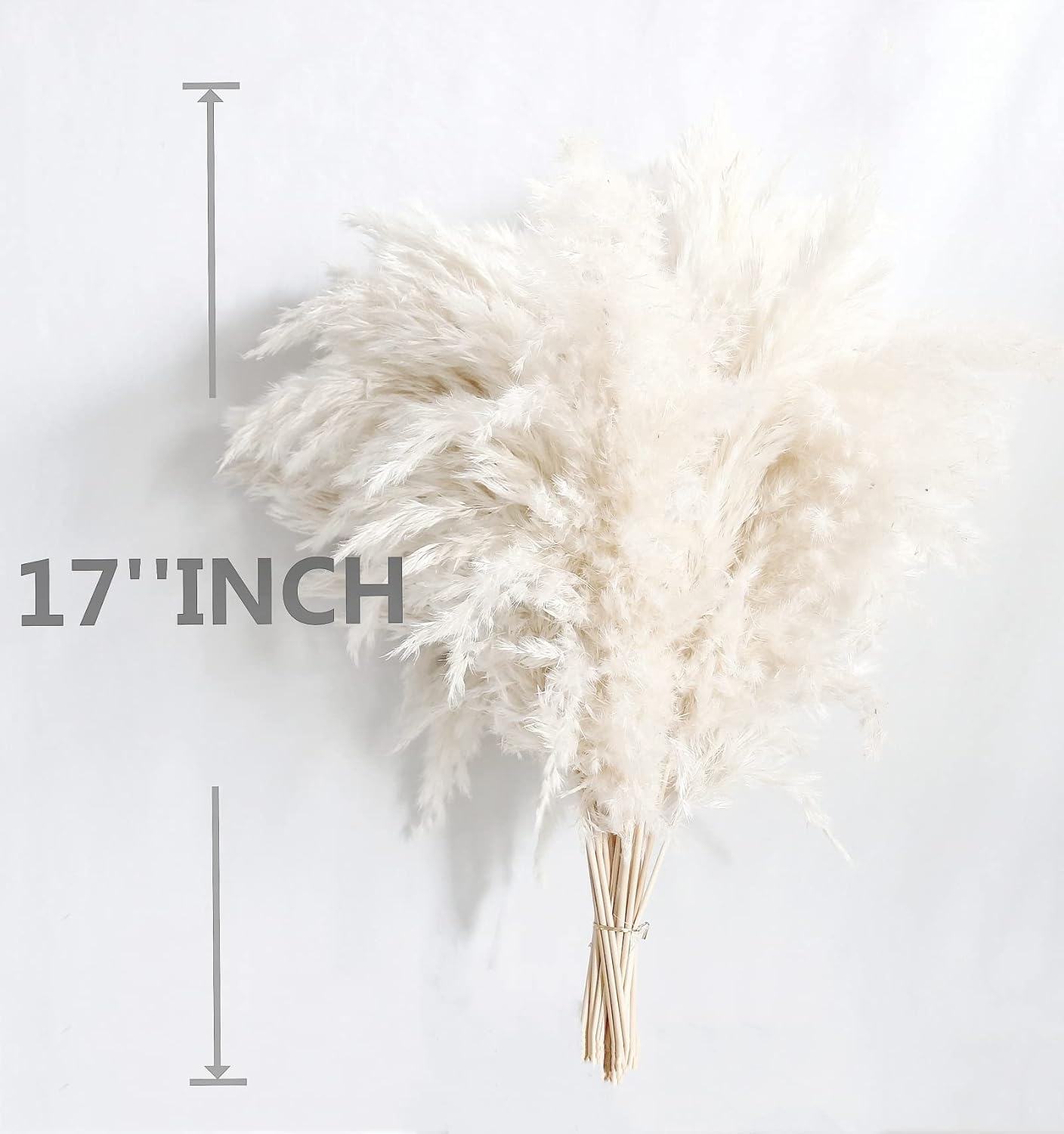 White Pampas Grass for Home Decor - Elegant Boho Decor - Premium Quality Pampas Grass Stems - Perfect for House, Nursery, Western, Wedding, Table, and Bohemian Decor (20PCS)