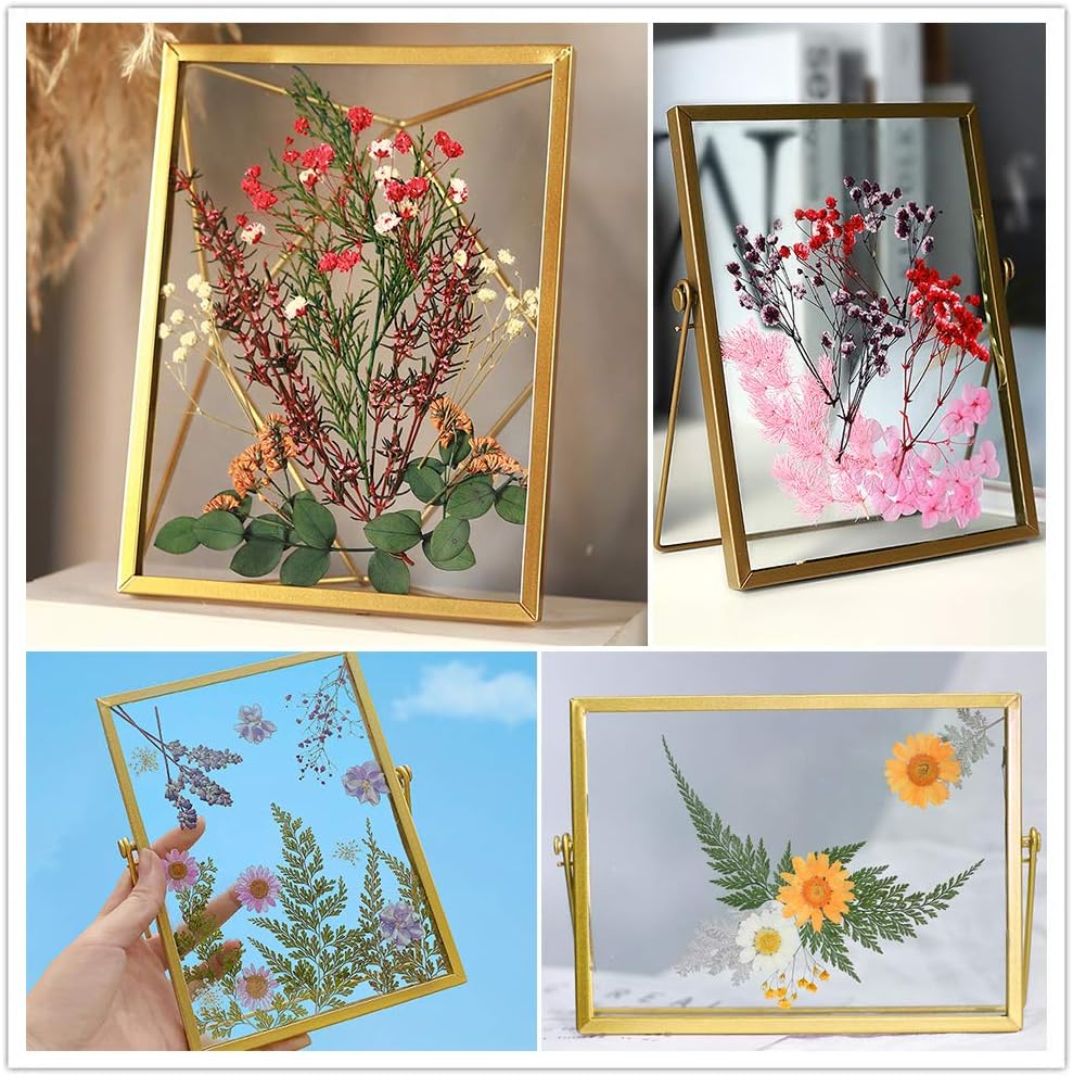 Vignee Real Dried Pressed Leaf Flowers-Multiple Colorful Pressed Flowers Daisies for Craft Resin Jewelry Making Art Craft DIY（Blue & Purple）