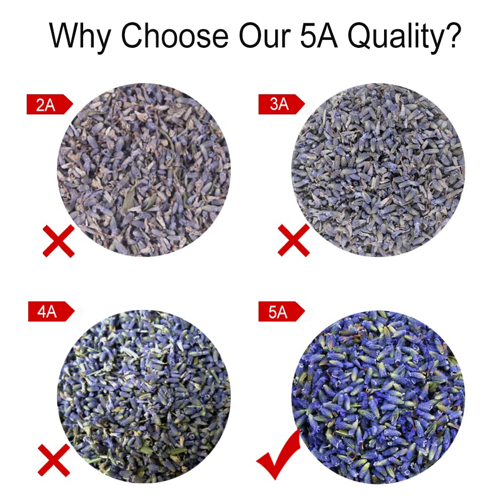 TEARELAE - Premium Dried Lavender Flowers - 5A Top Grade - 100% Pure Natural Edible Flowers Culinary Dried Lavender Buds - for Baking, Tea, Soap, Bath Bombing, Candle and Sachets - 3oz/85g