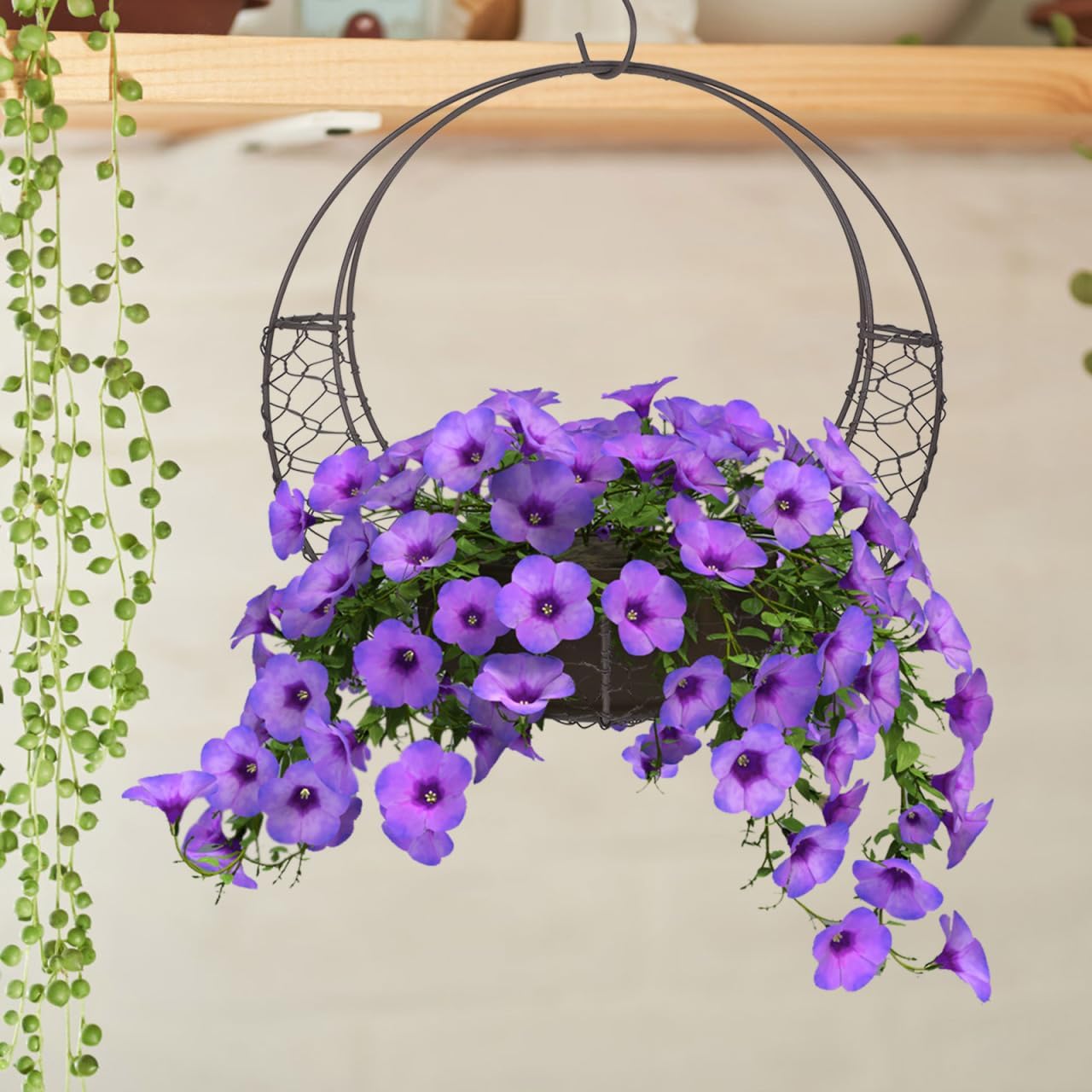 TOYANDONA Round Wire Wreath Frame: Moon Shaped Metal Hanging Sphere Planter Moon Wreath Plant Holder Flower Hanging Basket, Succulent Pot Decor Basket Indoor Outdoor Wall Decor