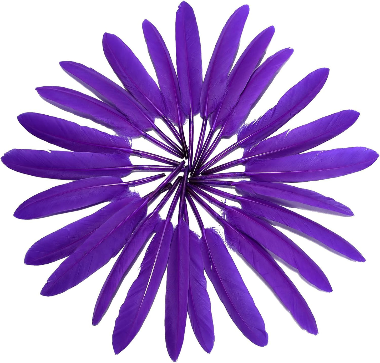 FeelfunFeather 120pcs Purple Goose Cochettes Feather Natural Bulk 4-6 inch 10-15cm for Wedding Party Christmas Halloween Decorations DIY Crafts Goose Cochettes Feather