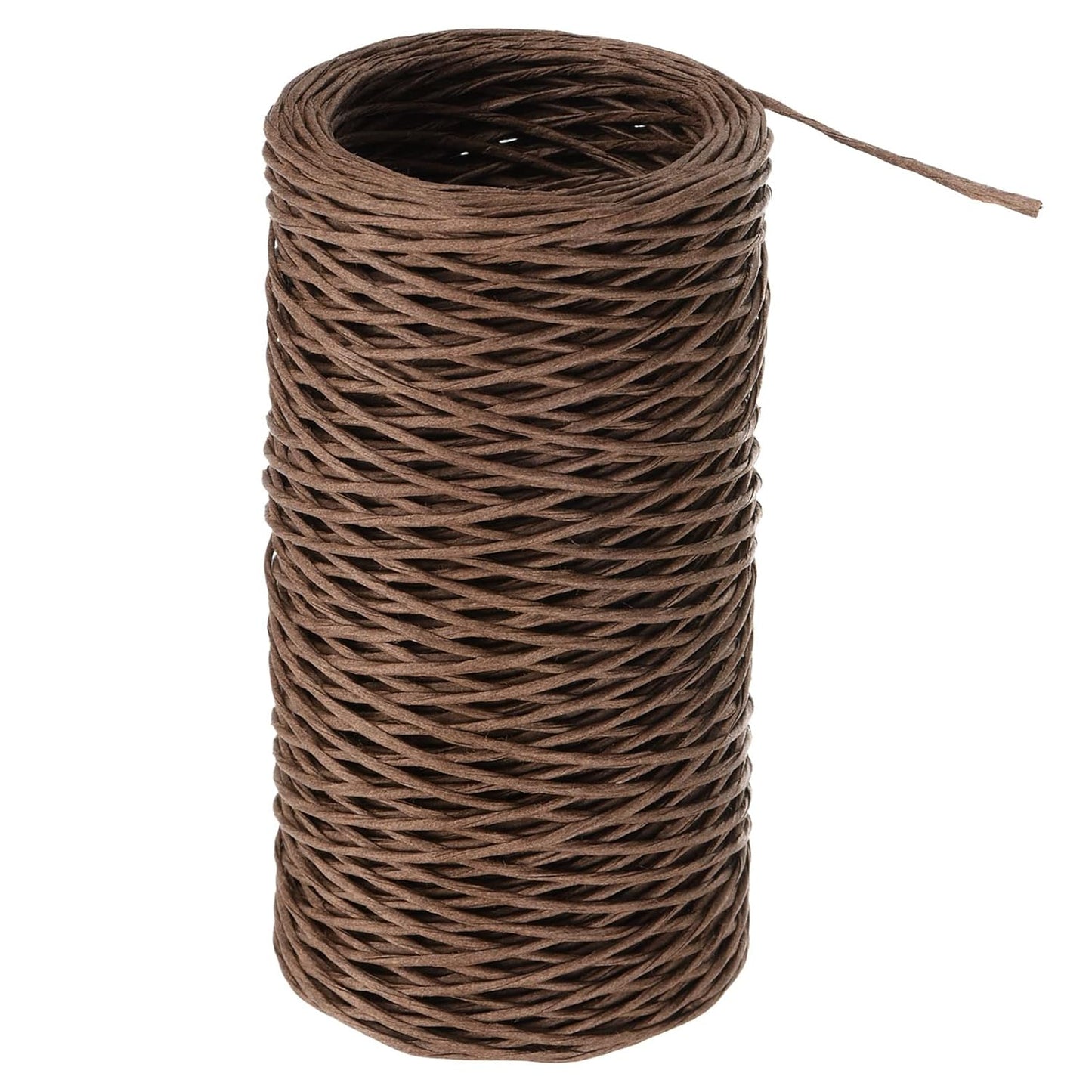 PATIKIL 164 Feet Floral Bind Wire Wrap Twine, 1mm Florist Wire Iron Wire Paper Covered Vine Wrapping Binding Wire for Flower Bouquets, Brown