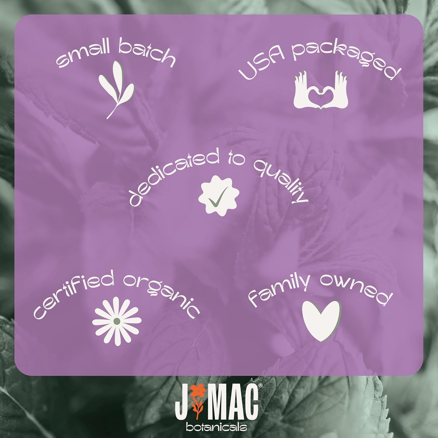 J MAC BOTANICALS Certified USDA - 100% Organic Dried Elderberries - 2lb Bulk - Non-Irradiated, Non-GMO, Whole Black Elderberry Immune Support - Raw Vegan Sambucus 2 Pack