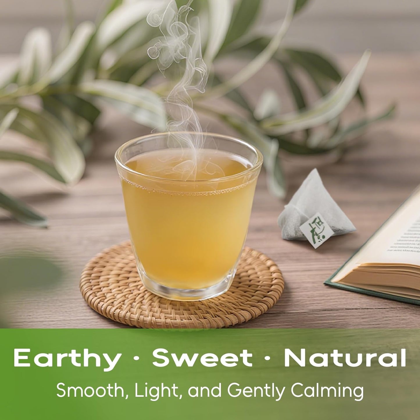 FullChea - Soursop Leaves Tea Bags, 40 Teabags - Premium Soursop Graviola Leaves - Hojas De Guanabana Tea - Non-GMO - Caffeine-free - Improve Digestion, Support Healthy Skin & Sleep