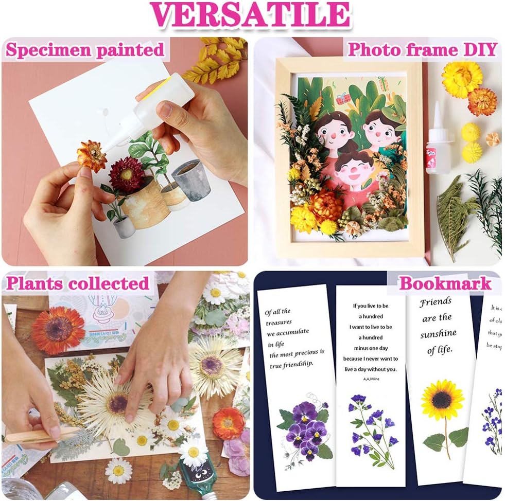 Vignee Real Dried Pressed Leaf Flowers-Multiple Colorful Pressed Flowers Daisies for Craft Resin Jewelry Making Art Craft DIY（Violet）