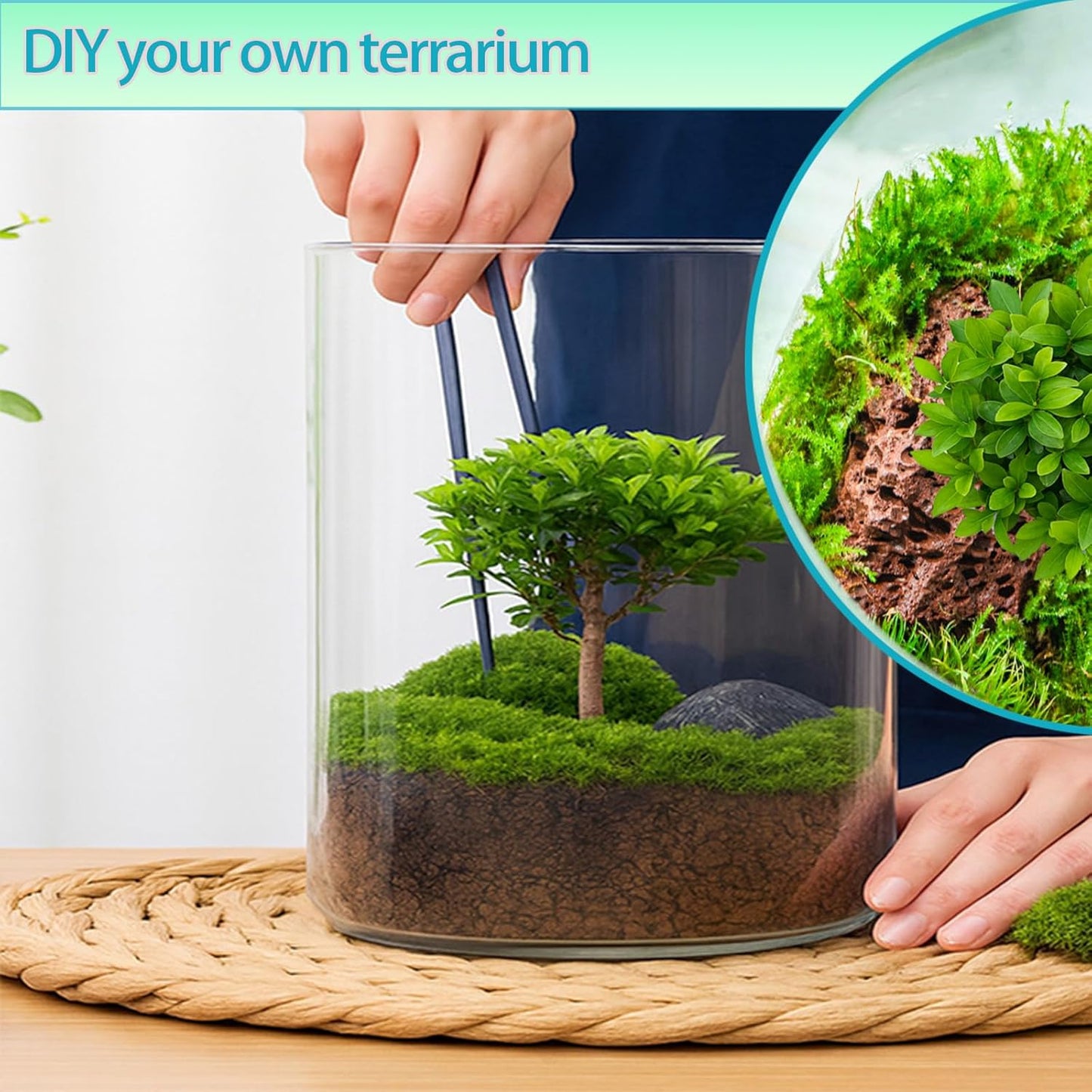 Versatile Plant Propagation Station Vase Hydroponic Planter Pot,Glass Plant Terrarium Kit,Fresh Indoor Herb Garden Kit| Christmas Birthday Gift for Gardener Women Mom Garden Lover | Home Office Decor