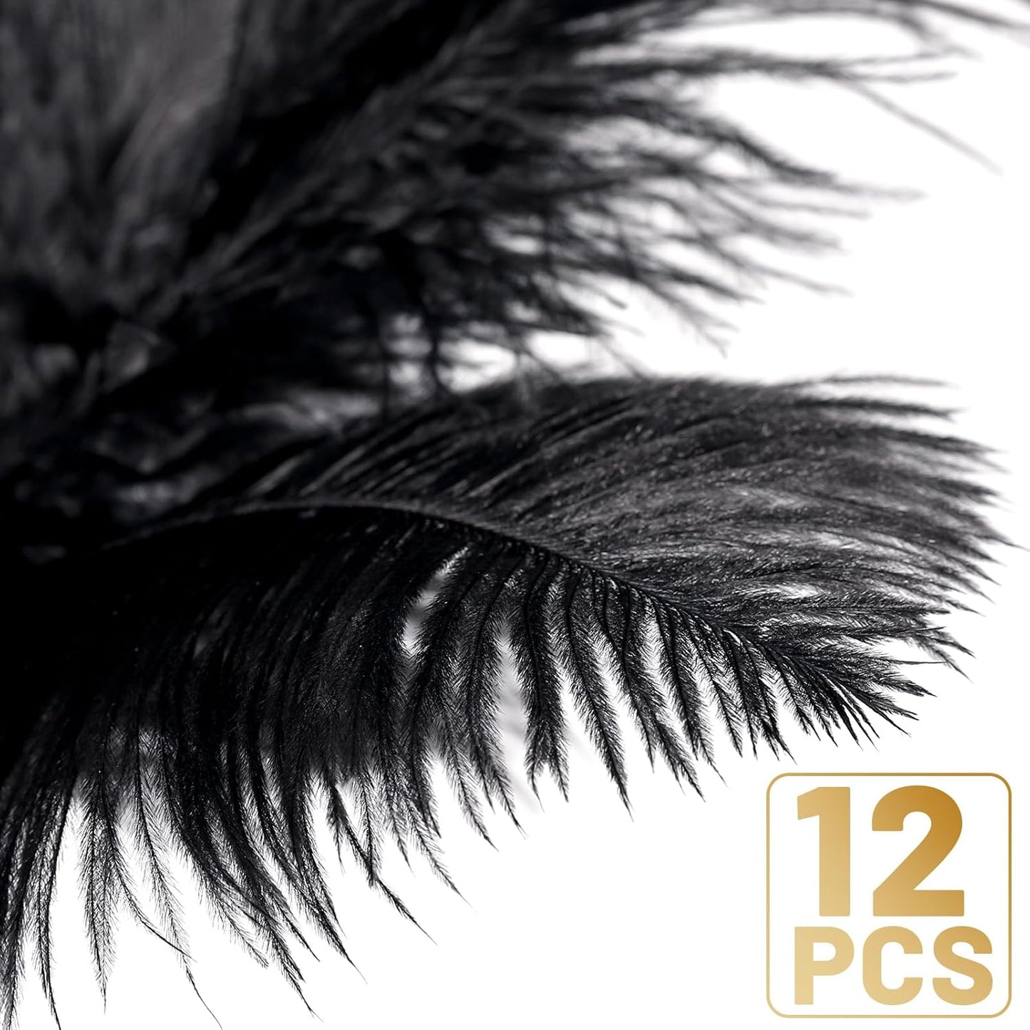 FANDAMEI Black Ostrich Feathers, 12 Pcs Black Feathers, 10-12 inch (25-30 cm), Feathers for Crafting, Craft Feathers for Centerpieces Table Decorations, Home Decorations, Black Party Decorations