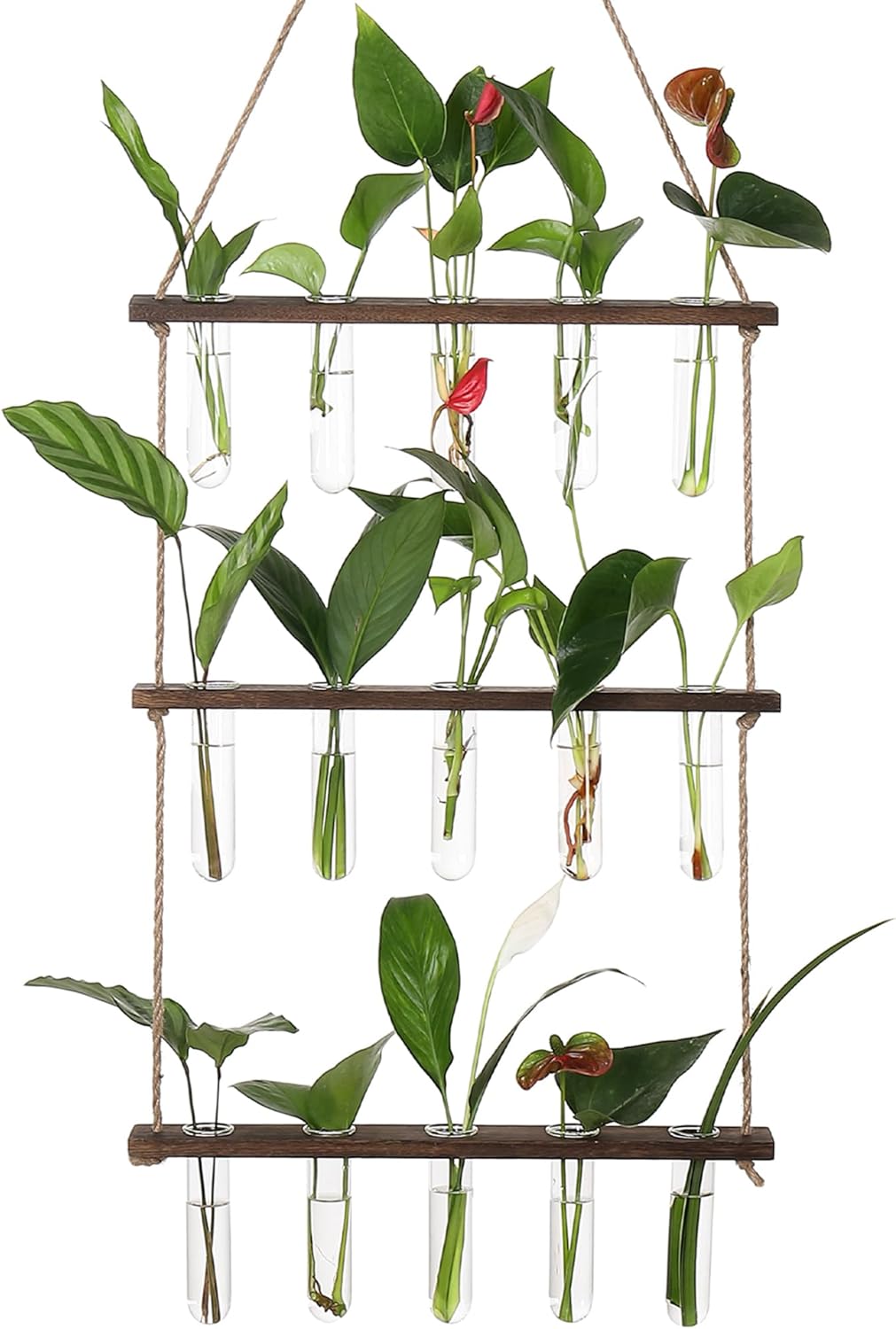 YIBOT Propagation Stations,3 Tiered Wall Hanging Terrarium with Wooden Stand,Mini Glass Test Tubes Vase,Propagation Tubes for Hydroponic Cutting Home Garden Office Decor Plant Lover Gift