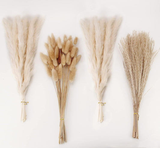 Natural Dried Pampas Grass Decor, White Pampas Grass， Bunny Tails Dried Flowers, Reed Grass Bouquet for Wedding Boho Flowers Home Table Decor, Rustic Farmhouse Party (100 in Total )