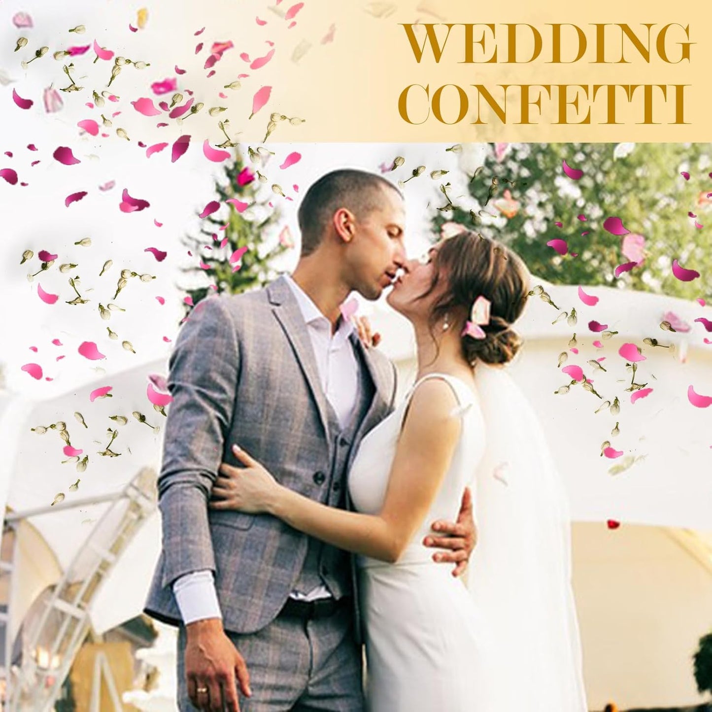 20+ Cups Mix Real Rose Petals Biodegradable Wedding Confetti, 2 QT of Pink Red Flower Jasmine for Ctaft Proposal Party Decor Flower Girls, Bath salt Candle Soap Making