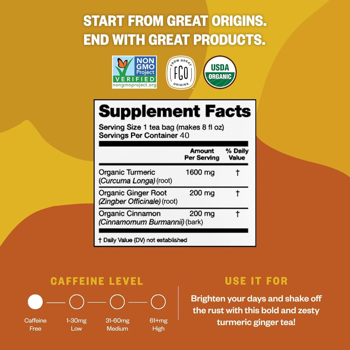 FGO Organic Turmeric Ginger Herbal Tea, 40 Count, Eco-Conscious Tea Bags, Caffeine Free (Pack of 1)