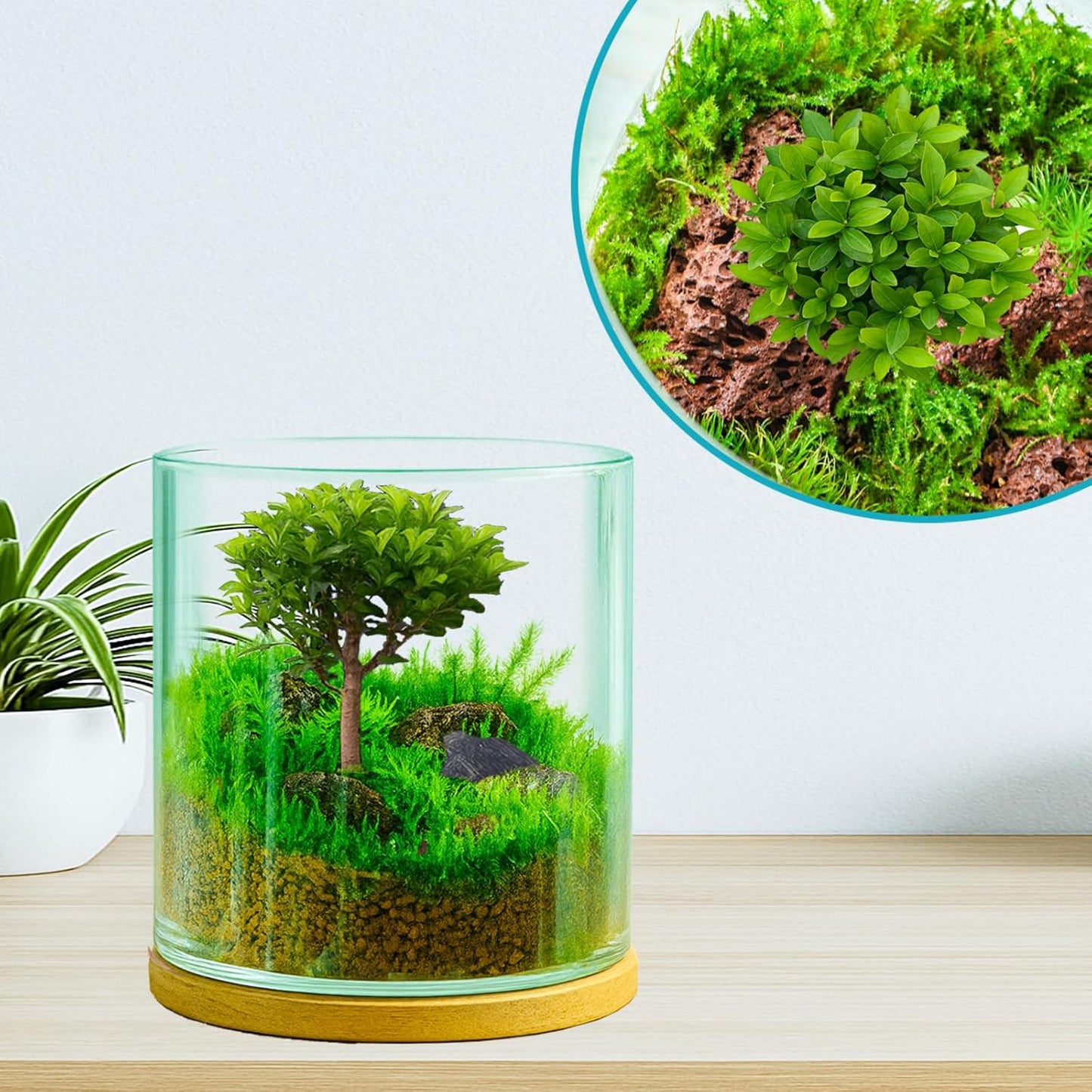 4 in 1 Plant Propagation Station Hydroponic Vase Planter Pot,Indoor Glass Terrarium Planter,Fresh Herb Garden Grow Kit,Home Office Decor,Christmas Birthday Gift for Gardener Women Parents Garden Lover