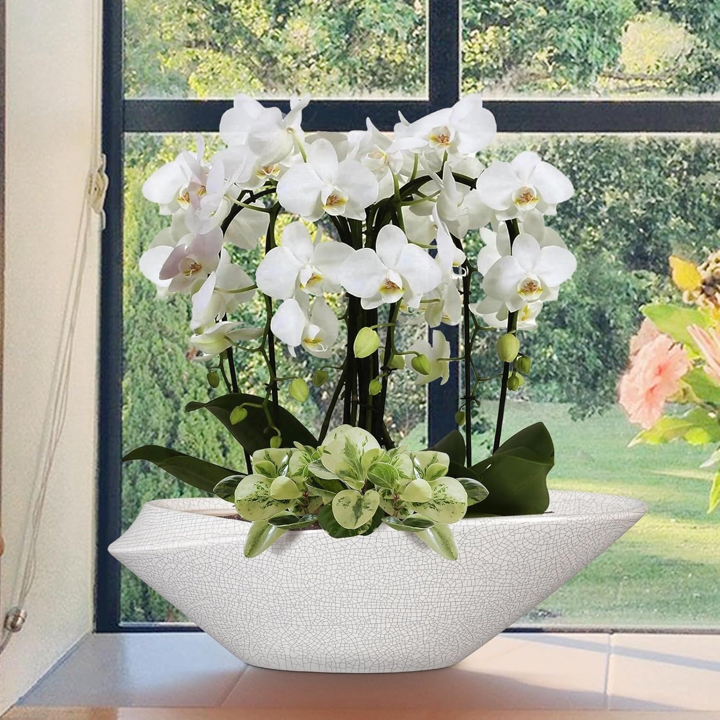 Bonsai Pots - 18 Inch Ceramic Plant Pot for Bonsai Tree, Modern Indoor & Outdoor Succulent Planter with Drainage, Room Decor, Gifts for Plant Lovers, White-Black