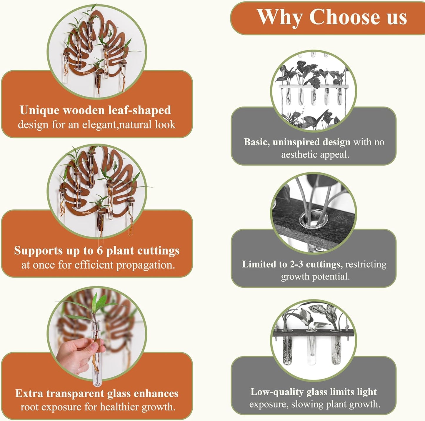 2Special Propagation Stations | Hanging Propagation Station and Wall Planters for Indoor Plants | Wooden Wall Vase, 6+1 Glass Propagation Vases for Plants | Leaf Shape Plant Propagation Station