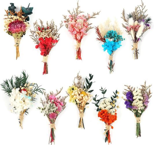 10Pcs Mini Dried Flower Bouquet Colourful Natural Boho Dried Flowers Set Mini Natural Real Plants for Wedding Table Centerpieces Gift Box Cake Bottle Decor Home Vase Decorations DIY Craft