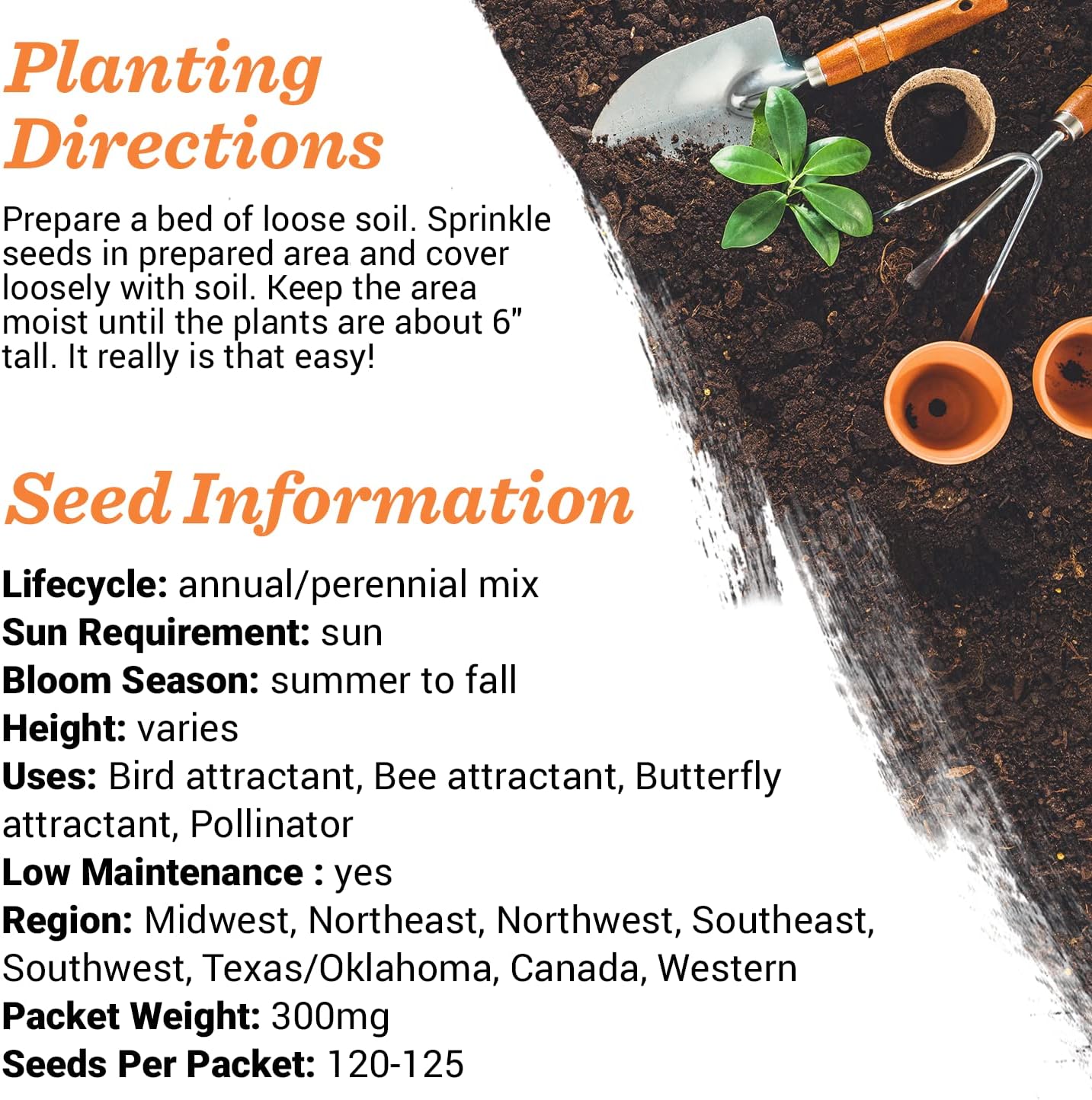 Grateful Memories Dove with Bird and Butterfly Mix Seed Favor Packets - Gardening Gifts - Wild Flower Seeds for Planting - Garden or Indoor Plant Flowers - Growing Plants in Memory