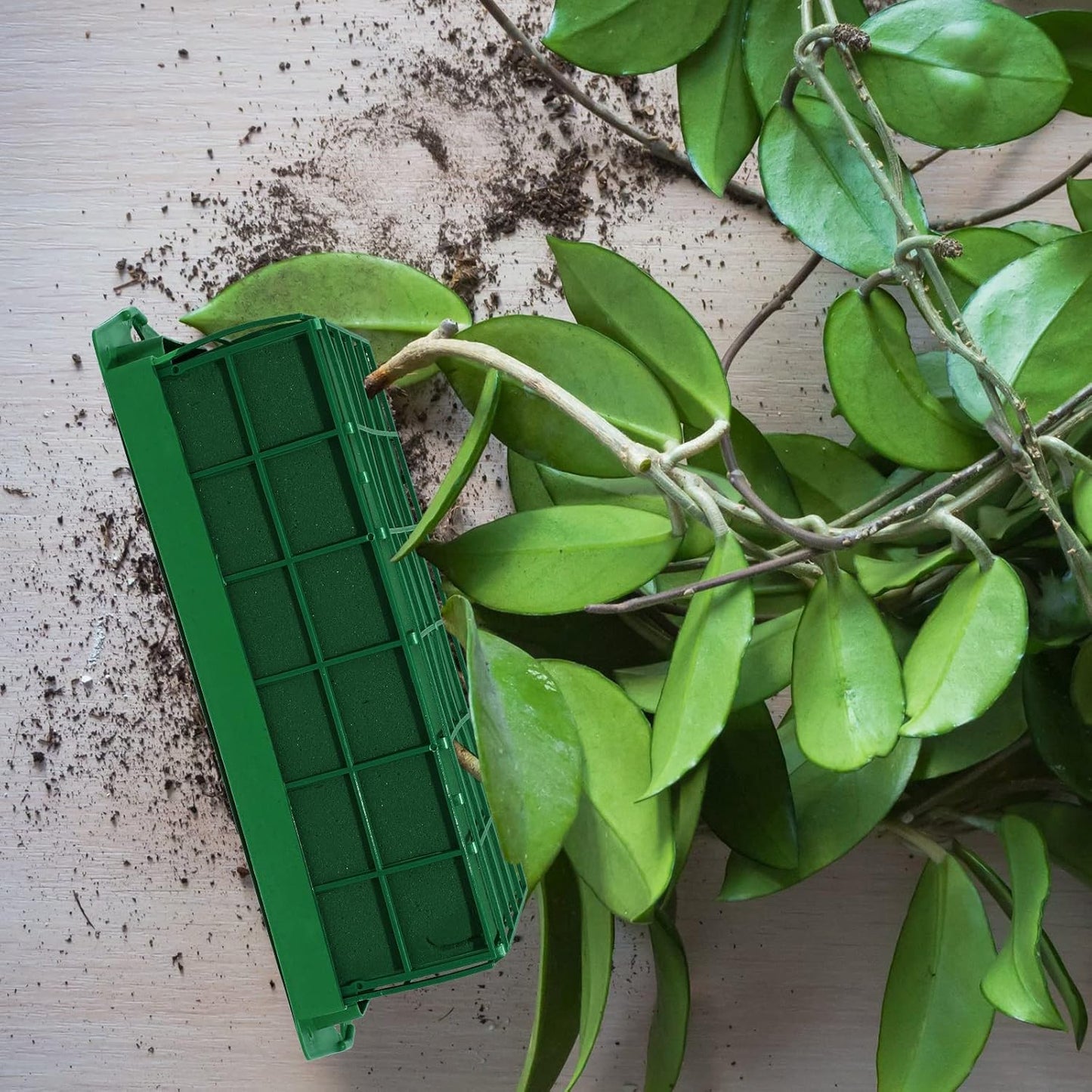 Boao 24 Pieces Floral Foam Cage Holder with Floral Foam for Fresh Flowers Cage Bowl for Table Centerpiece Flower Arrangement, Rectangle, 11.8 x 4.7 x 3.1 Inch