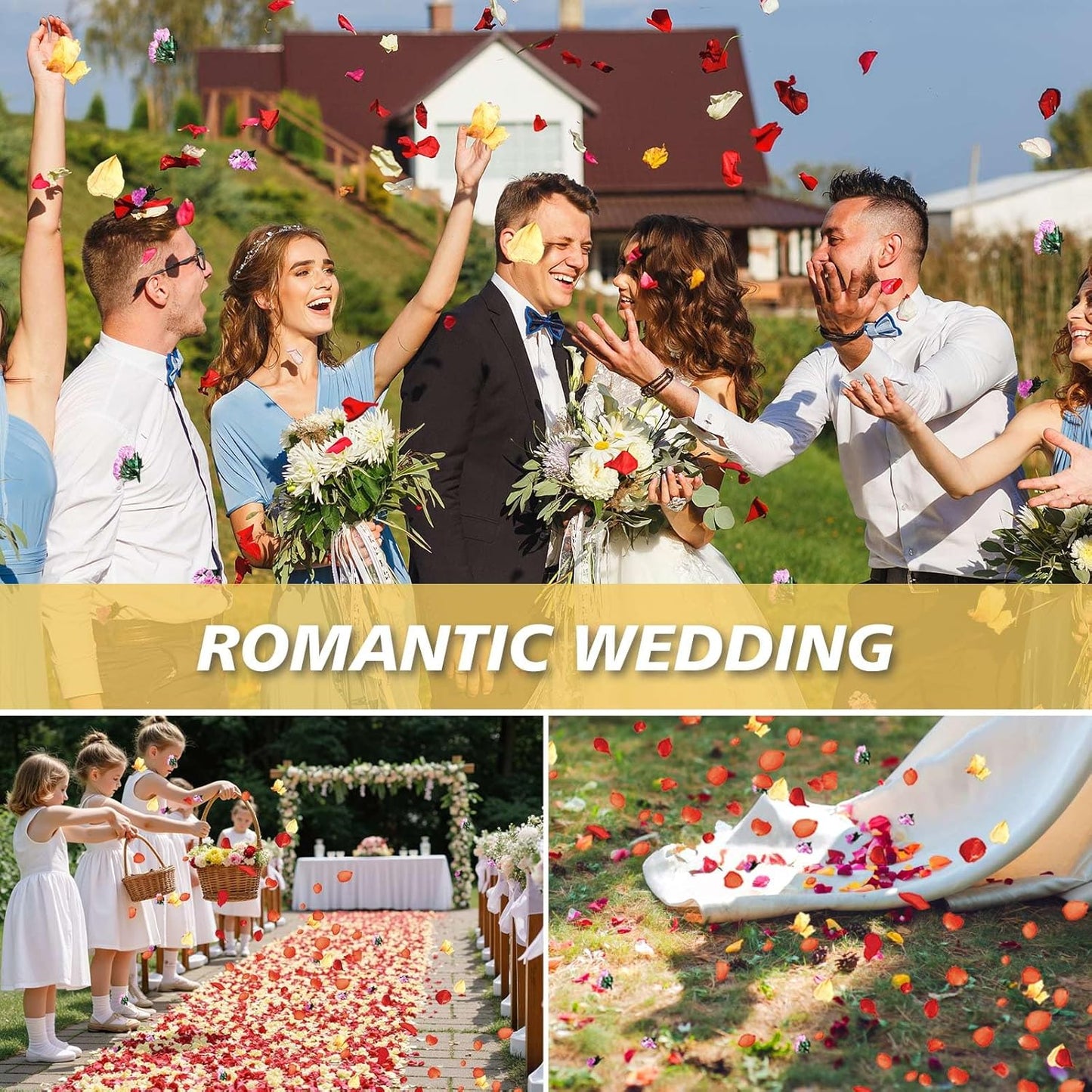 20+ Cups Real Dried Flower Petals, Biodegradable Wedding Flower Confetti, Mix Rose Petals and Purple Static Flowers for Engagement, Valentine's Day, Bath, Flower Girl Party Dinner Table Decor