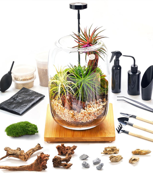 Terrarium Kit with Grow Light, Succulent Plants, Mini Gardening Set - Includes Jar, Tools, Moss, Rocks, Driftwood & Decor
