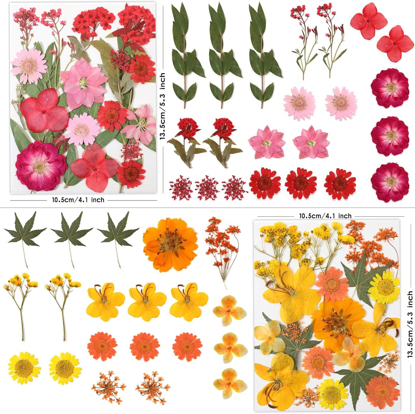 80 Pcs Dried Flowers for Crafts, Real Natural Dried Pressed Flowers in Vibrant Colors for Resin, DIY Art, Jewelry, Candle & Soap Making – Tweezers Included